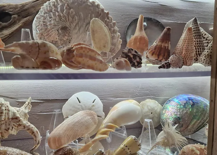 Vendégház Fleur Des Bois 4*