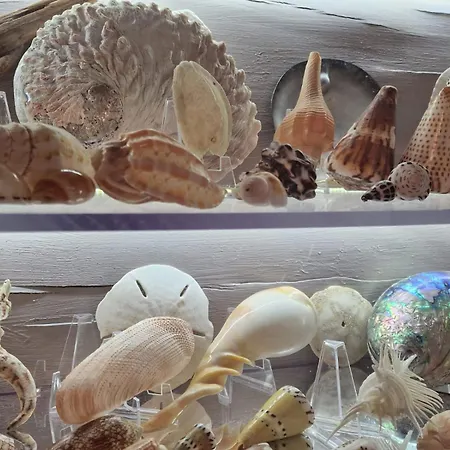 Vendégház Fleur Des Bois 4*